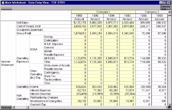 Data Entry View