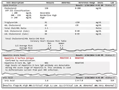 image of a lab report
