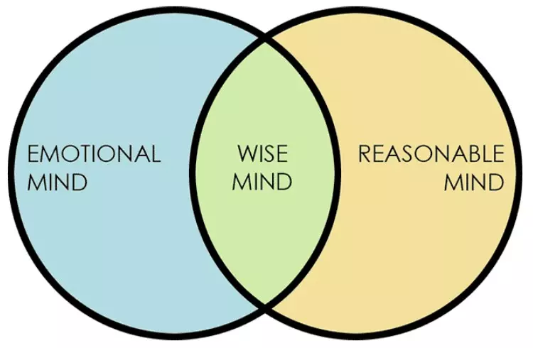 Wise Mind Venn Diagram
